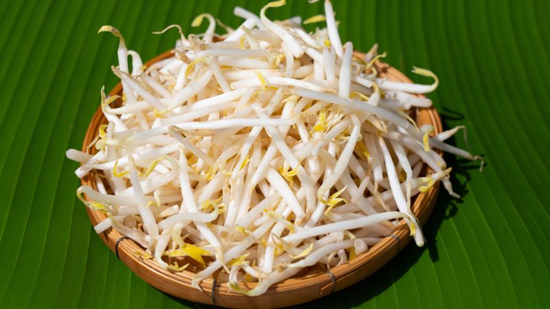 Auch Billa und Spar rufen Mungobohnensprossen und Keimlinge zurück