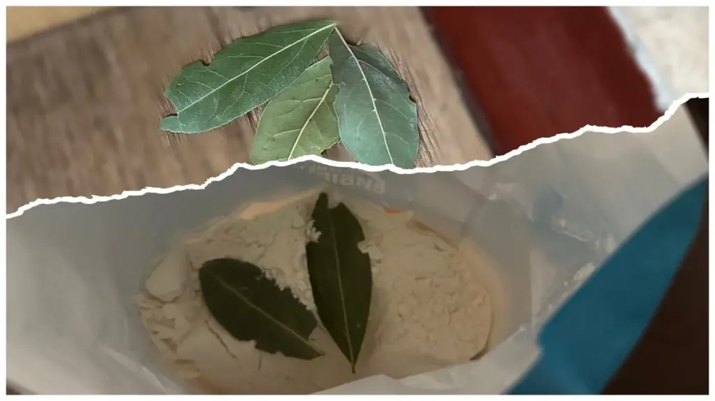 3 Gründe, warum erfahrene Hausfrauen Lorbeerblätter ins Mehl und in Schuhe legen