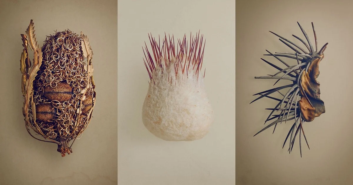 Darum faulen Feldsalat-Samen bei Kälte – der Fehler, den viele Österreicher im Winter machen - image 2