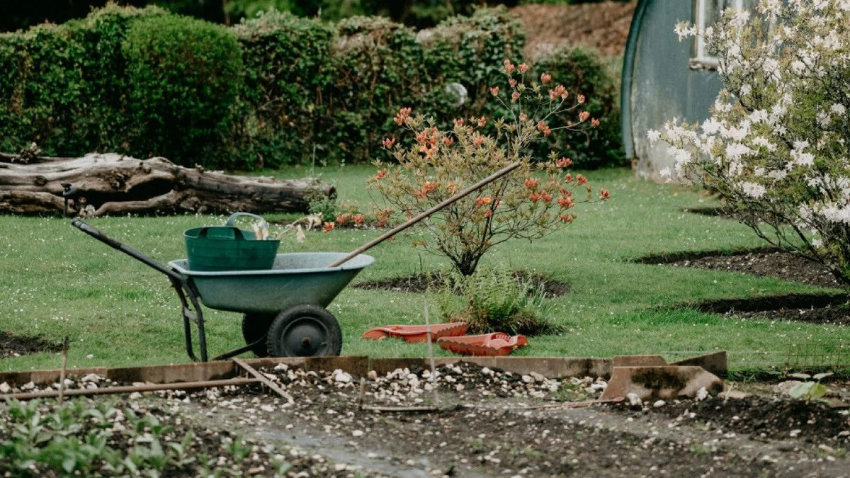Das heimliche Gesetz, das alle Gartenbesitzer in Österreich ignorieren, wenn sie Regenwasser sammeln - image 2