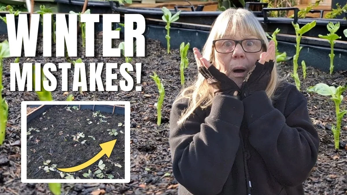 Der große Irrtum beim winterlichen Obstbaum-Pflanzen: Nur dieses eine Detail entscheidet über Erfolg oder Misserfolg - image 2