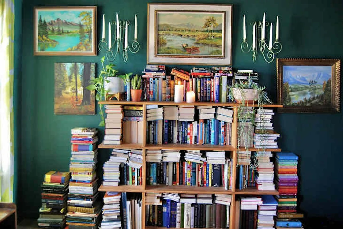 Der Trick von Gärtnern im Keller: Warum ich Eierkartons nicht wegwerfe und den ganzen Winter profitiere - image 2