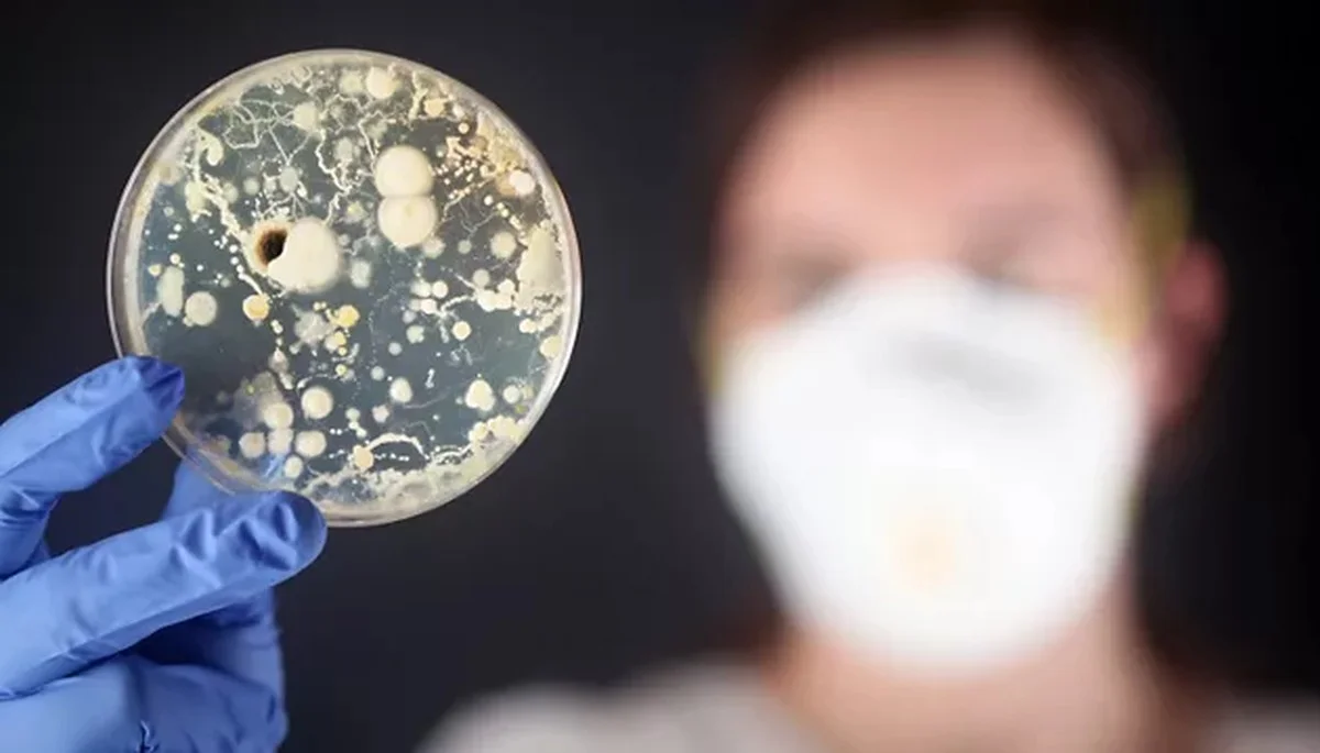 Der versteckte Fehler: Warum erfahrene Österreicher Zahnbürsten jetzt immer VOR dem WC-Deckel verstecken - image 2