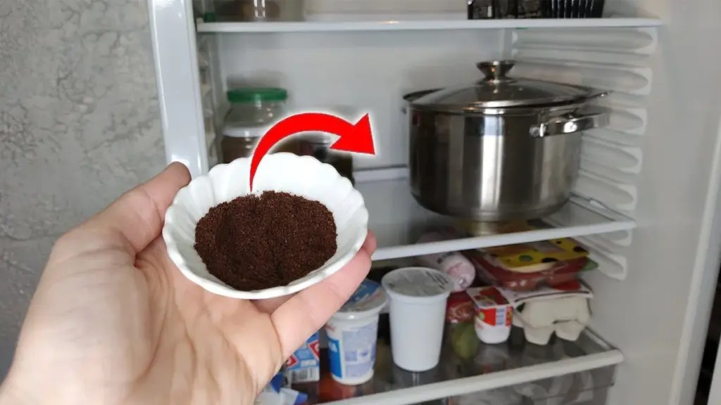 Experten-Tipp: Warum ich eine Schale Kaffeepulver in den Kühlschrank stelle