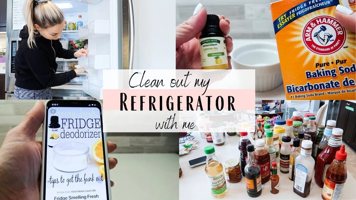 Experten-Tipp: Warum ich eine Schale Kaffeepulver in den Kühlschrank stelle - image 2