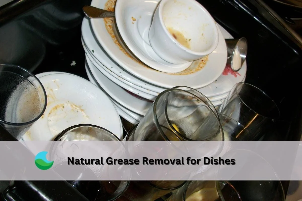 Warum erfahrene Airfryer-Besitzer nur einen Tropfen Spülmittel auf das Heizelement geben - image 2