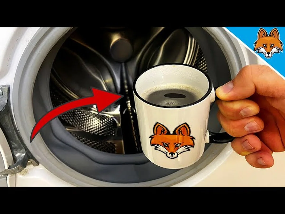 Warum erfahrene Gärtner einen Schwamm auf den Boden des Topfes legen - image 1