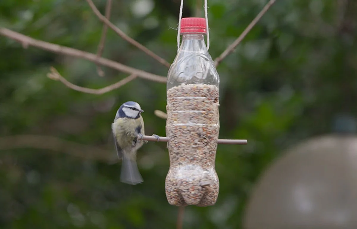 Warum erfahrene Gärtner eine Löffel-Flaschen-Kombination im Winter in ihren Garten hängen - image 1