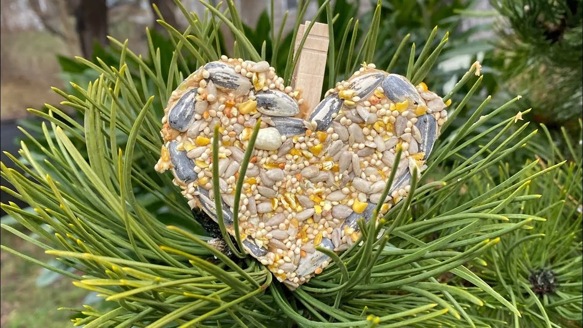 Warum erfahrene Gärtner eine einfache Wäscheklammer zum Aufhängen von Vogelfutter verwenden - image 1