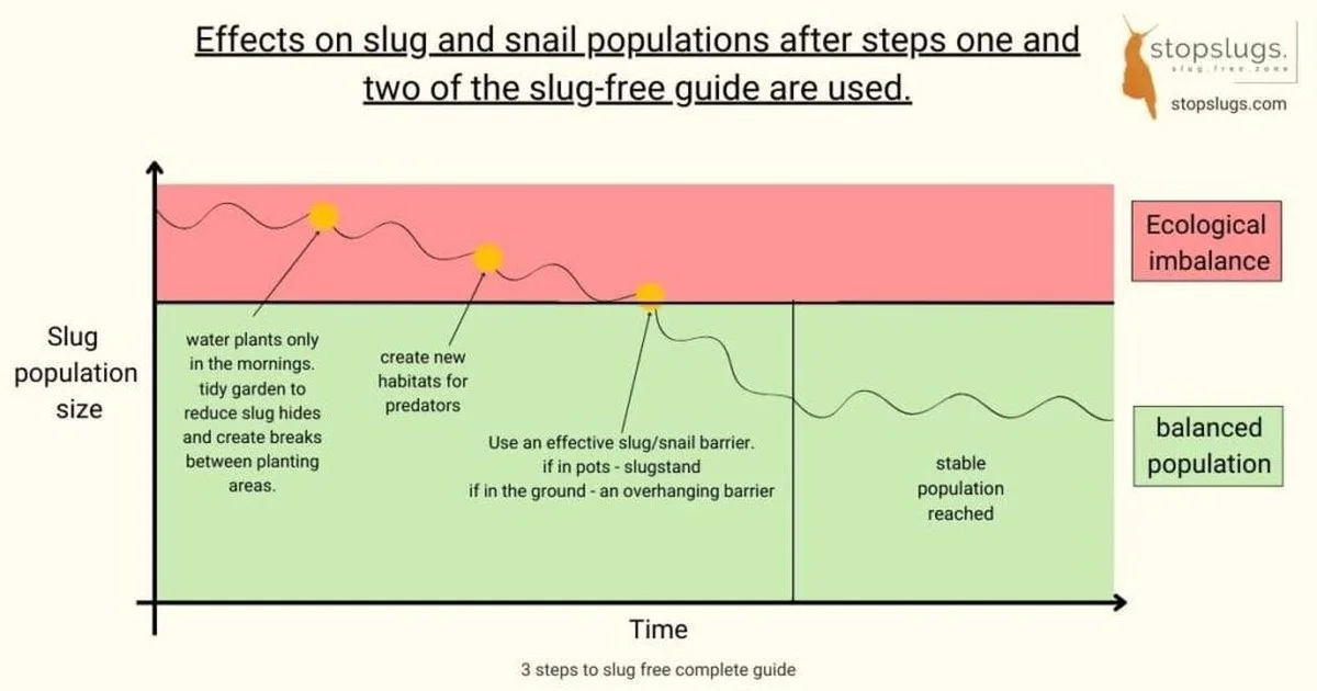 Warum erfahrene Gärtner Essensreste an einem Ort auslegen, den die meisten ignorieren - image 1