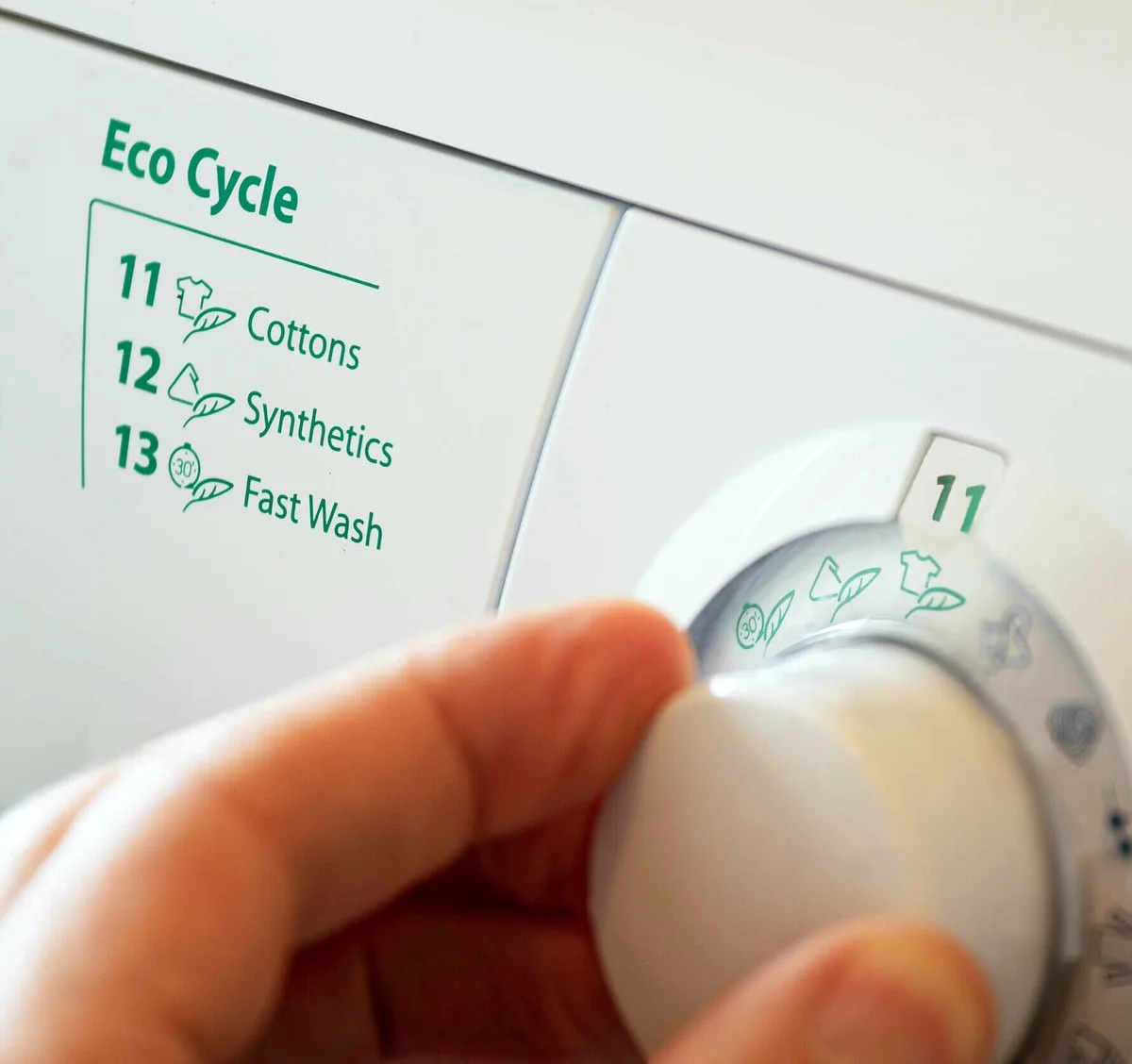 Warum erfahrene Gärtner einen Schwamm auf den Topfboden legen - image 1