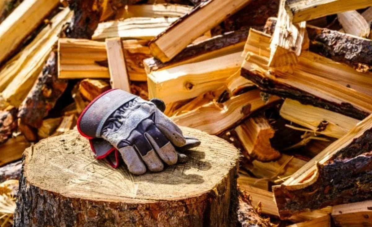 Warum erfahrene Gärtner den Christbaumstumpf nicht verbrennen, sondern im Frühling als Rankhilfe nutzen - image 2