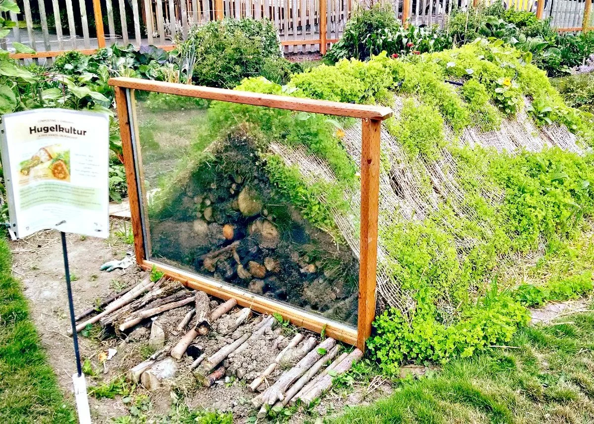 Warum erfahrene Gärtner im Winter unbehandeltes Holz im Boden vergraben - image 2