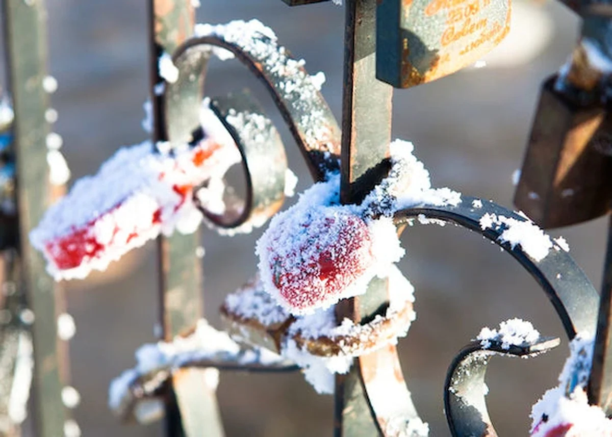 Warum erfahrene Hausbesitzer eine teilweise gefüllte Wasserflasche an ihr Gartentor hängen - image 1