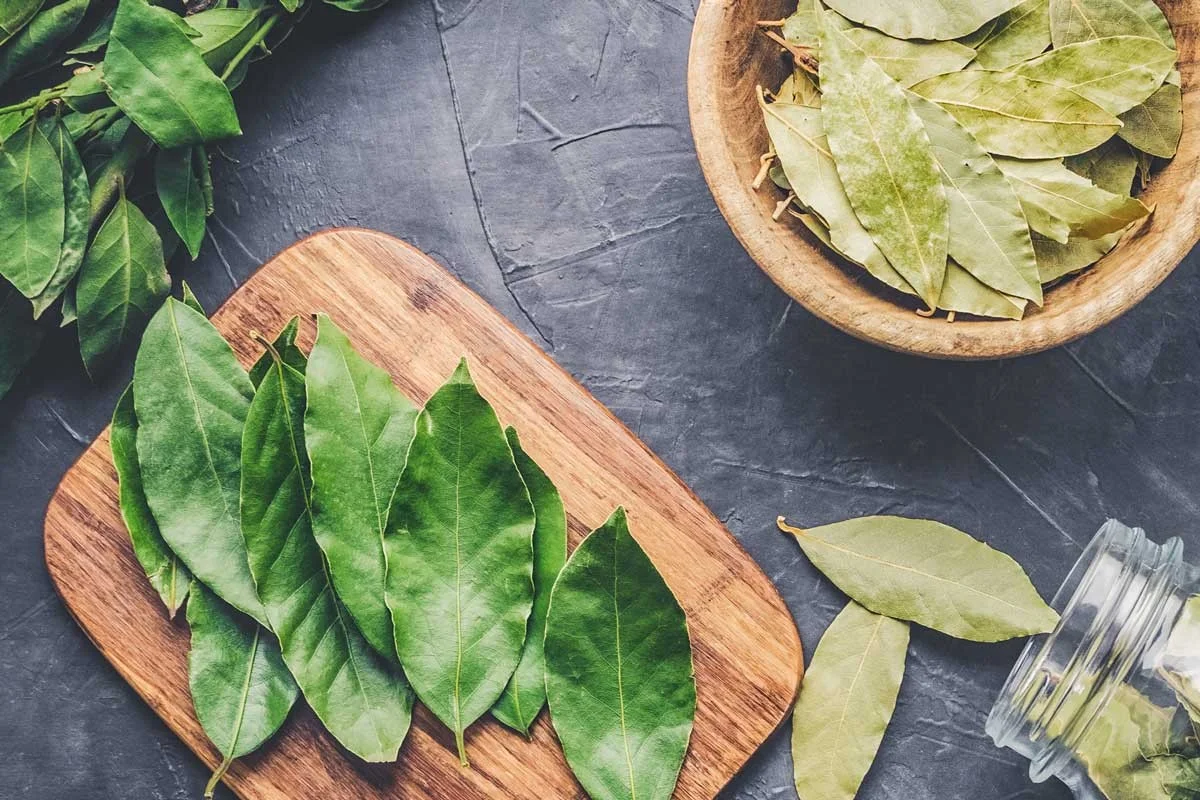 Warum erfahrene Köche Lorbeerblätter immer ins Gefrierfach legen - image 1