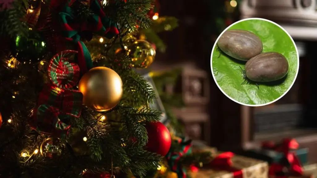 Warum erfahrene Österreicher ihren Christbaum vor dem Schmücken immer auf einem weißen Tuch ausschütteln