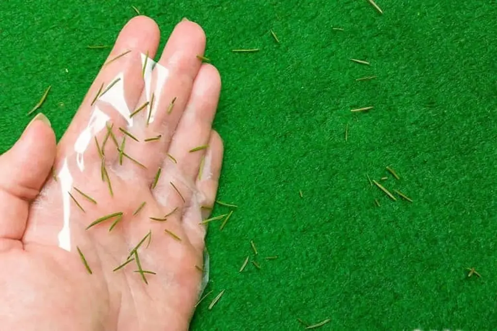 Warum erfahrene Österreicher nach Weihnachten Klebeband anstelle des Staubsaugers verwenden