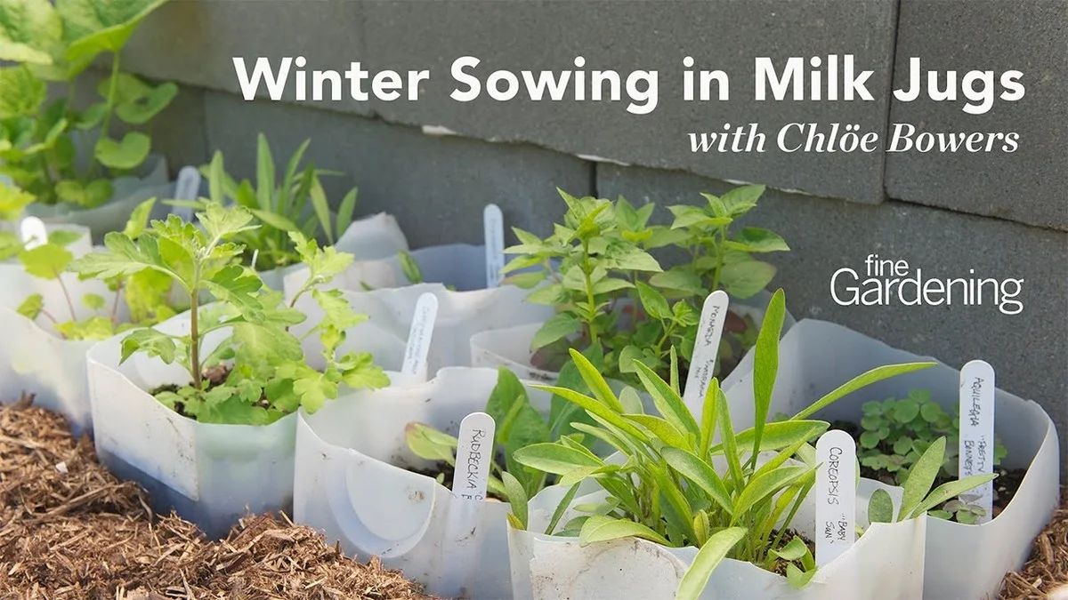 Warum österreichische Gärtner Christbaumkugeln über dem Gemüsebeet aufhängen - image 2