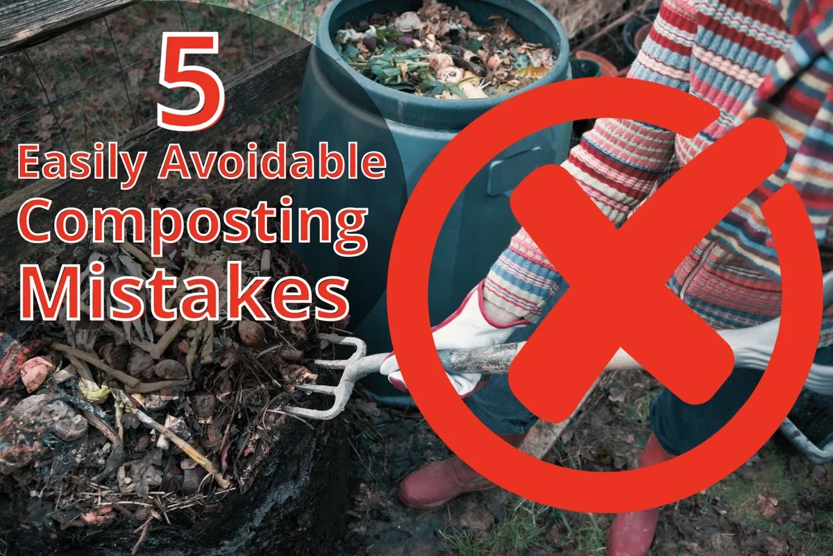 Was österreichische Gärtner in der Komposttonne NIE entsorgen würden - image 1