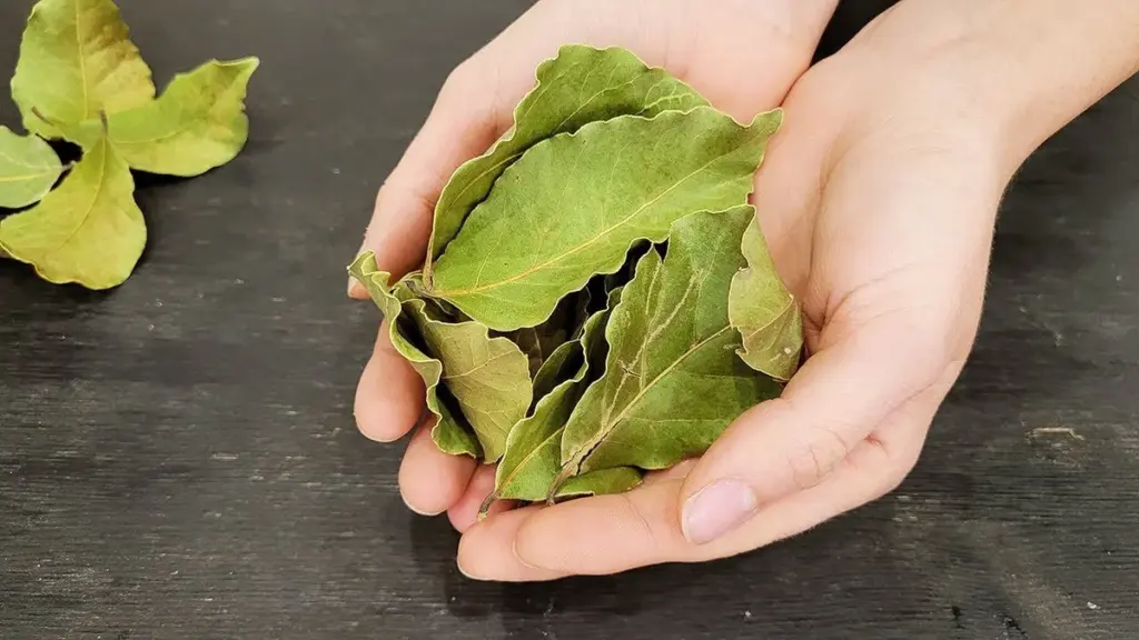 4 Lorbeerblätter und Backpulver: Der Trick, der Ihre Wäsche wie neu aussehen lässt