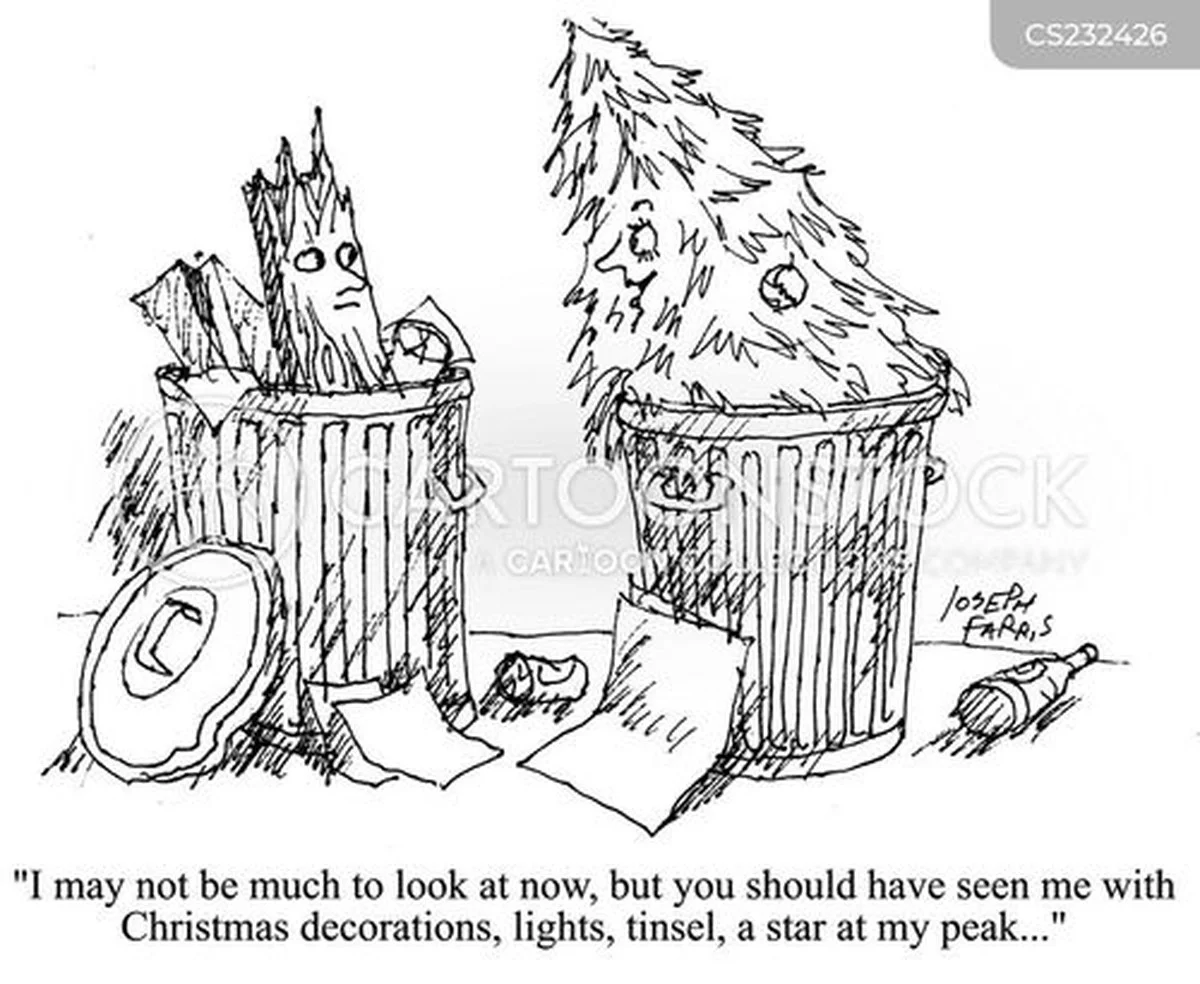 500 Euro Strafe drohen: Wo Sie Ihren Weihnachtsbaum in Österreich wirklich entsorgen müssen (und wo nicht) - image 1