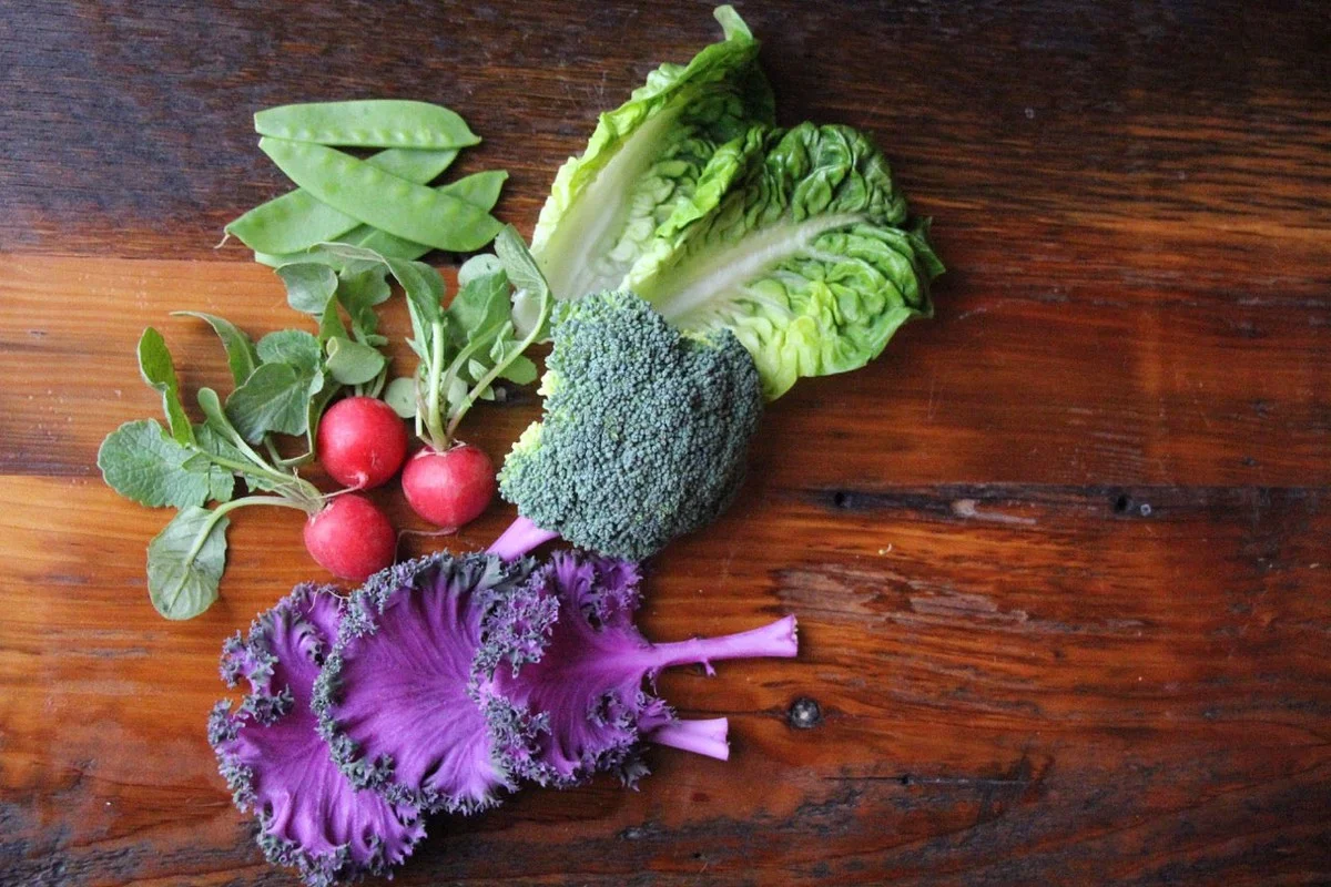 7 Pflanzen, die erfahrene Gärtner schon im Jänner in die Erde setzen - image 2