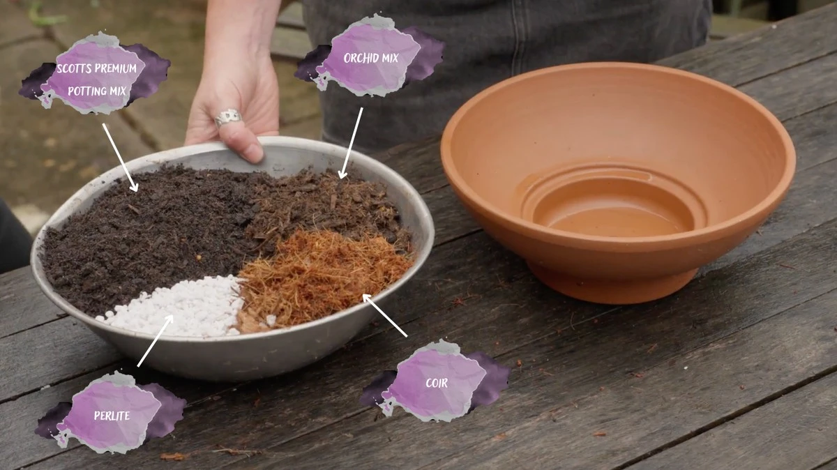 Das Geheimnis meiner kräftigen Setzlinge: Erde in 15 Minuten selbst gemacht (ganz ohne Einkaufen) - image 2