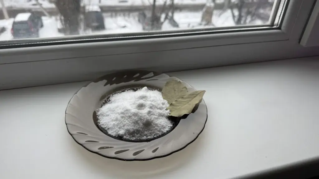 Das tun erfahrene Wiener: Warum eine Schale Salz das Fenster-Weinen bis zum Frühling stoppt