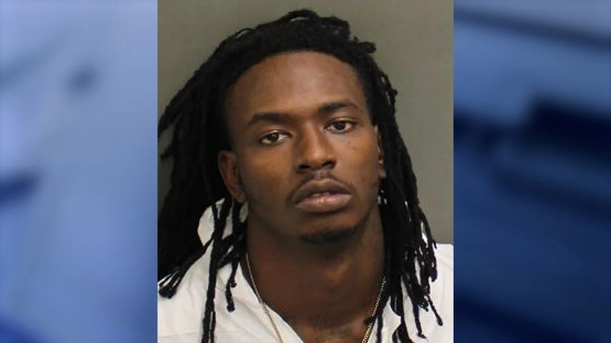 Der entscheidende Fehler: Warum viele Österreicher ihre Hortensien im Jänner falsch zurückschneiden - image 2