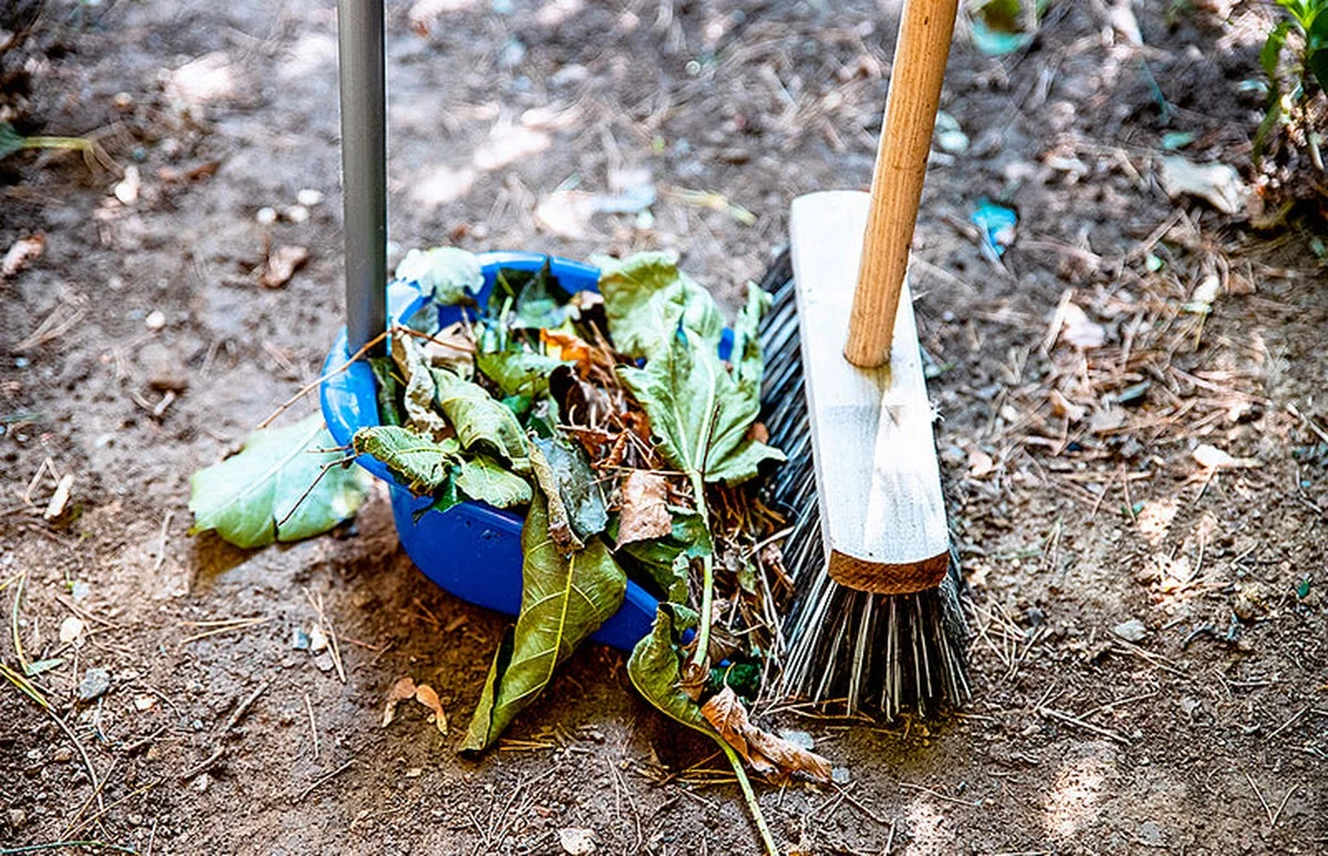 Der geheime Trick: Was schlaue Gärtner bereits im Jänner mit dem Boden machen - image 1