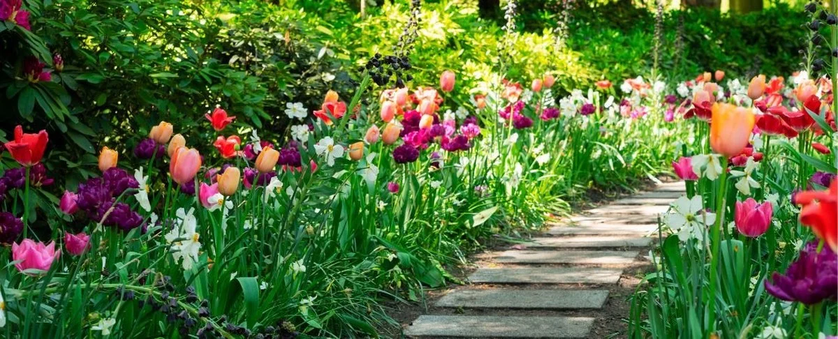 Der geheime Trick: Was schlaue Gärtner bereits im Jänner mit dem Boden machen - image 2