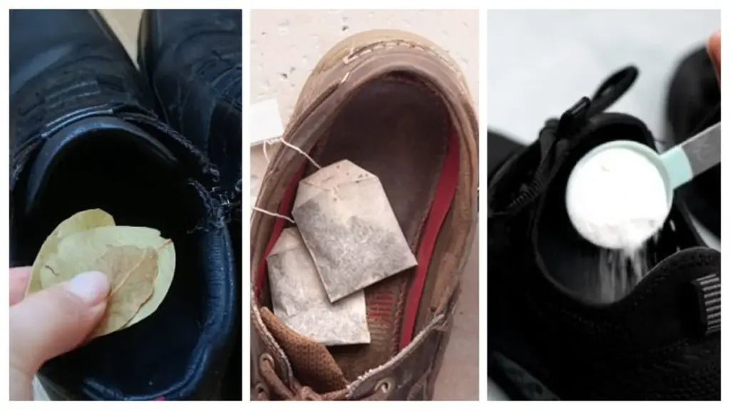 Der Trick der Profis: Darum legen Gärtner einen Schwamm in den Blumentopf