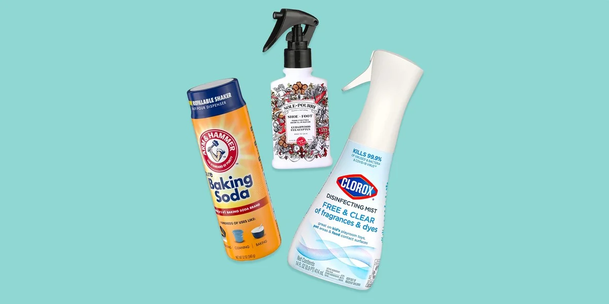 Der Trick der Profis: Darum legen Gärtner einen Schwamm in den Blumentopf - image 1