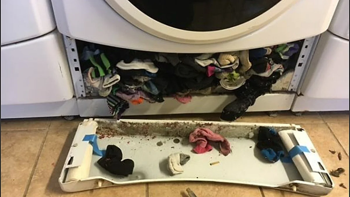 Der unscheinbare Ort an der Waschmaschine, an dem Experten Socken finden - image 2