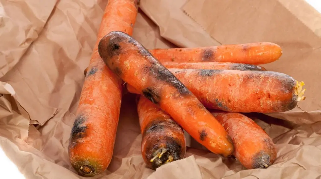 Der versteckte Grund, warum man bei Karotten mit schwarzen Flecken niemals nur die Stelle wegschneiden sollte