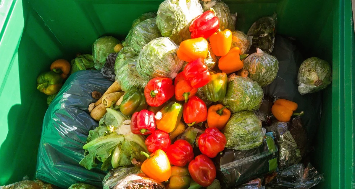 Der versteckte Grund, warum Sie Karotten mit schwarzen Flecken sofort wegwerfen sollten - image 2