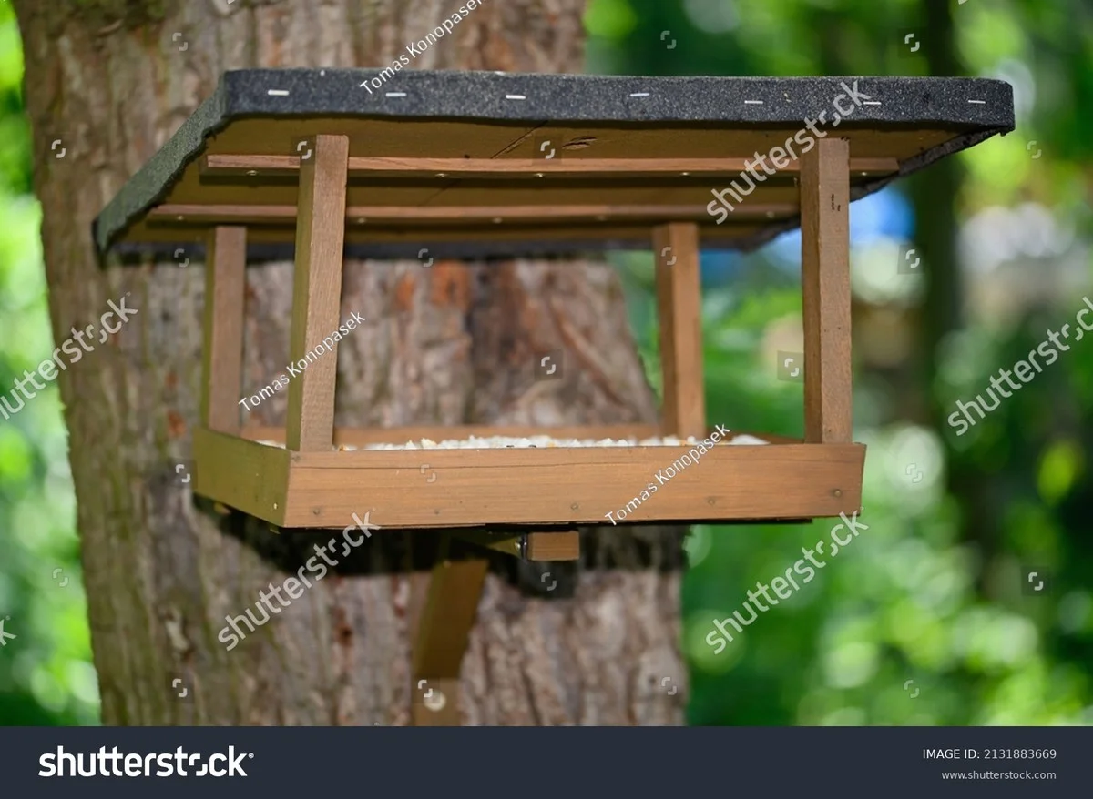 Der versteckte Grund: Warum die Vögel Ihr Futterhaus in Österreich ignorieren - image 2