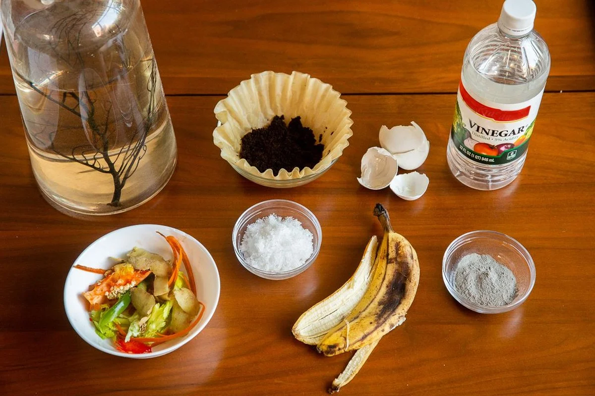 Der versteckte Trick, den alle Teetrinker in Österreich ignorieren: So retten Sie damit sterbende Zimmerpflanzen - image 2