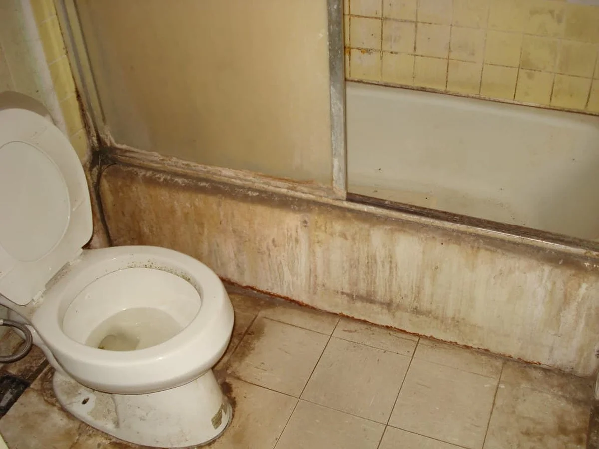 Deshalb legen Experten nur einen Esslöffel Natron in die Fugen – der Schimmel verschwindet sofort - image 2