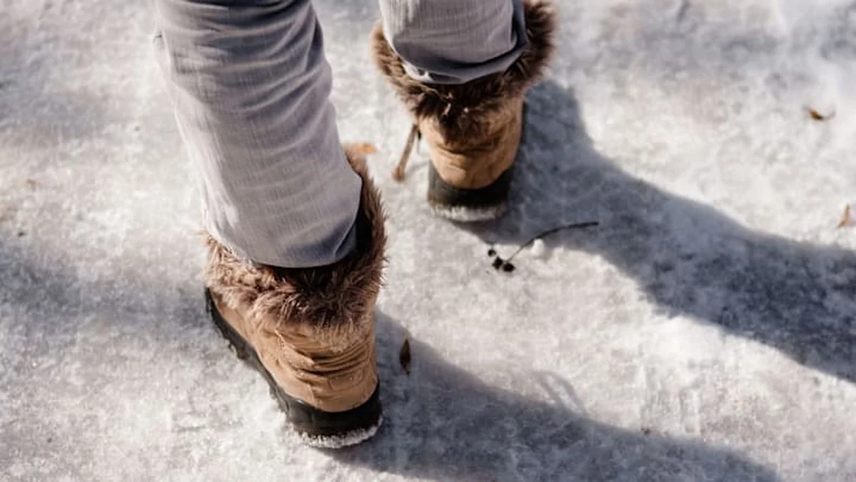 Deshalb legen Österreicher Salz unter die Fußmatte, bevor der erste Frost kommt - image 2