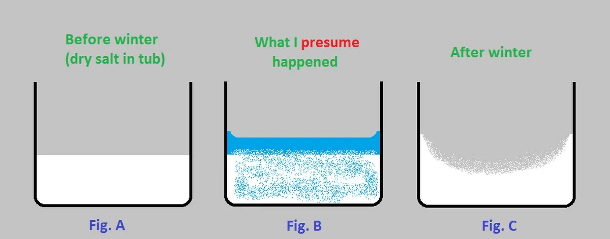 Diese 5 Lorbeerblätter in einem Salzbad retten Ihre Fenster im Winter - image 2