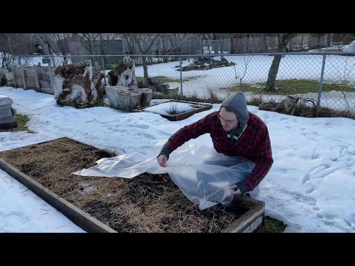 Drei Fehler, die jeder Kleingärtner im Jänner beim gefrorenen Boden vermeidet - image 1