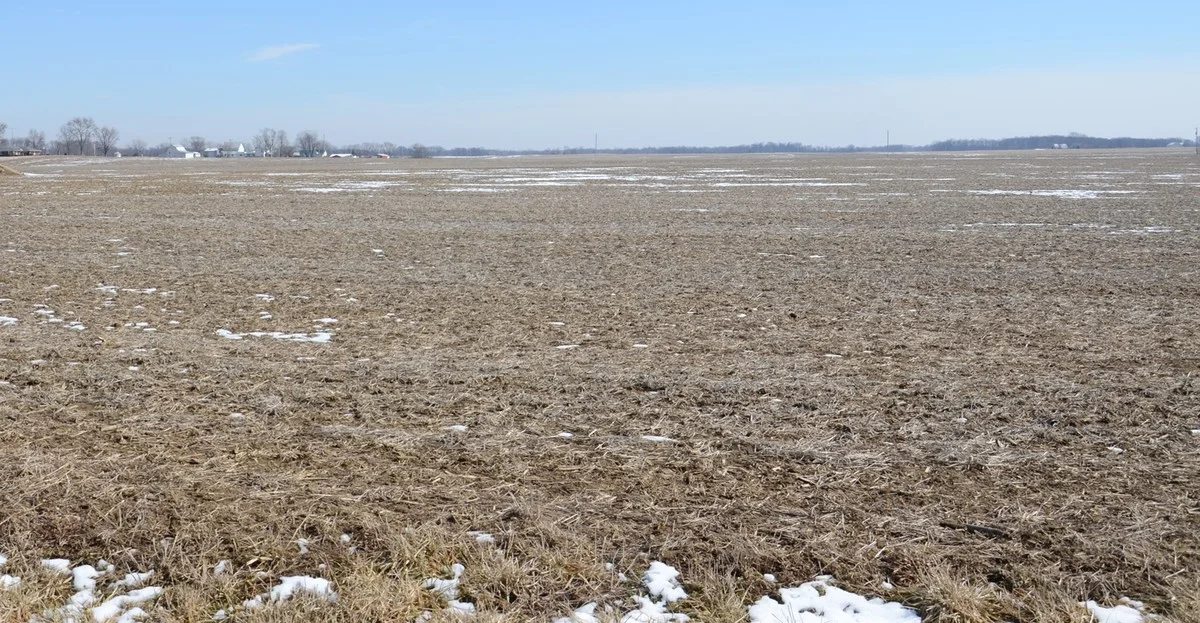 Drei Fehler, die jeder Kleingärtner im Jänner beim gefrorenen Boden vermeidet - image 2