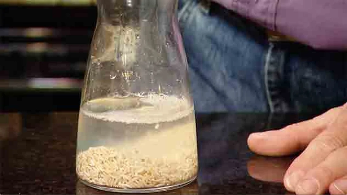 Drei Gründe, warum Profis Reis und Wasser zum Reinigen schmaler Vasen verwenden - image 1