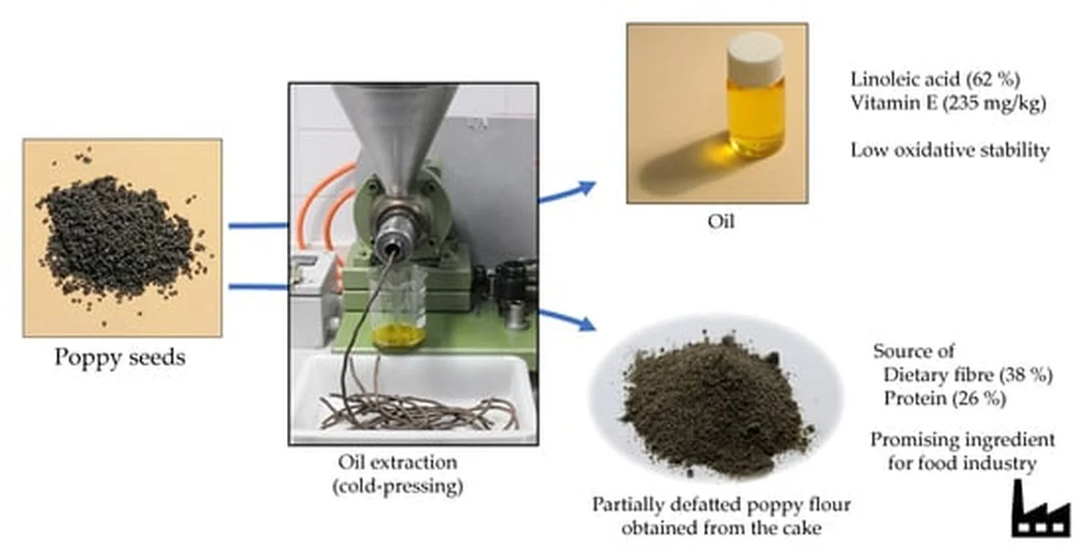 Drei Wege zur perfekten Mohnfülle: In 10 Minuten cremig und zart wie Sahne - image 1