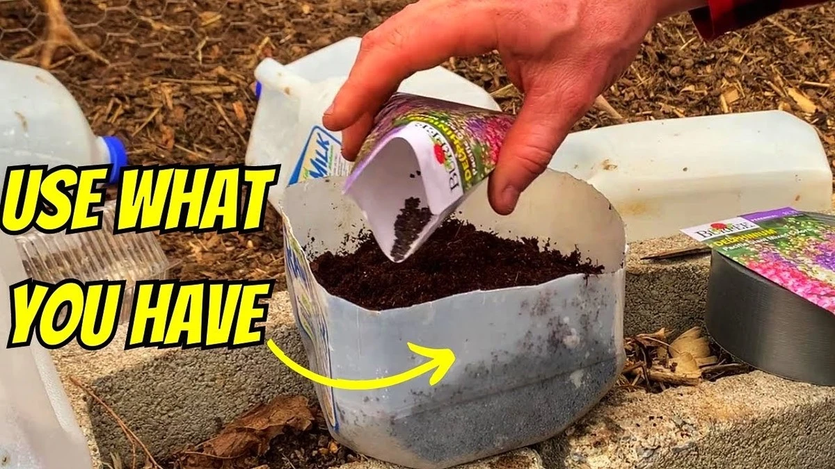 Ernte schon im Februar: 5 Kniffe für Ihren frühen Gemüsegarten ohne Gewächshaus - image 1