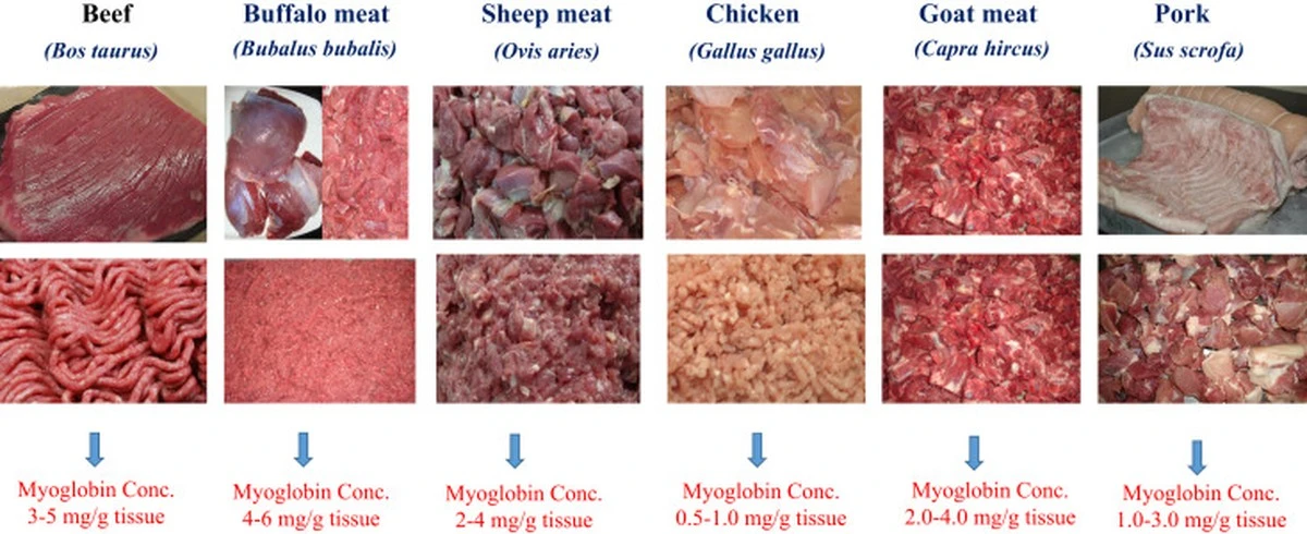 Fleischtheke-Schock: Tuch verrät Wasser & Farbstoff-Geheimnisse - image 2