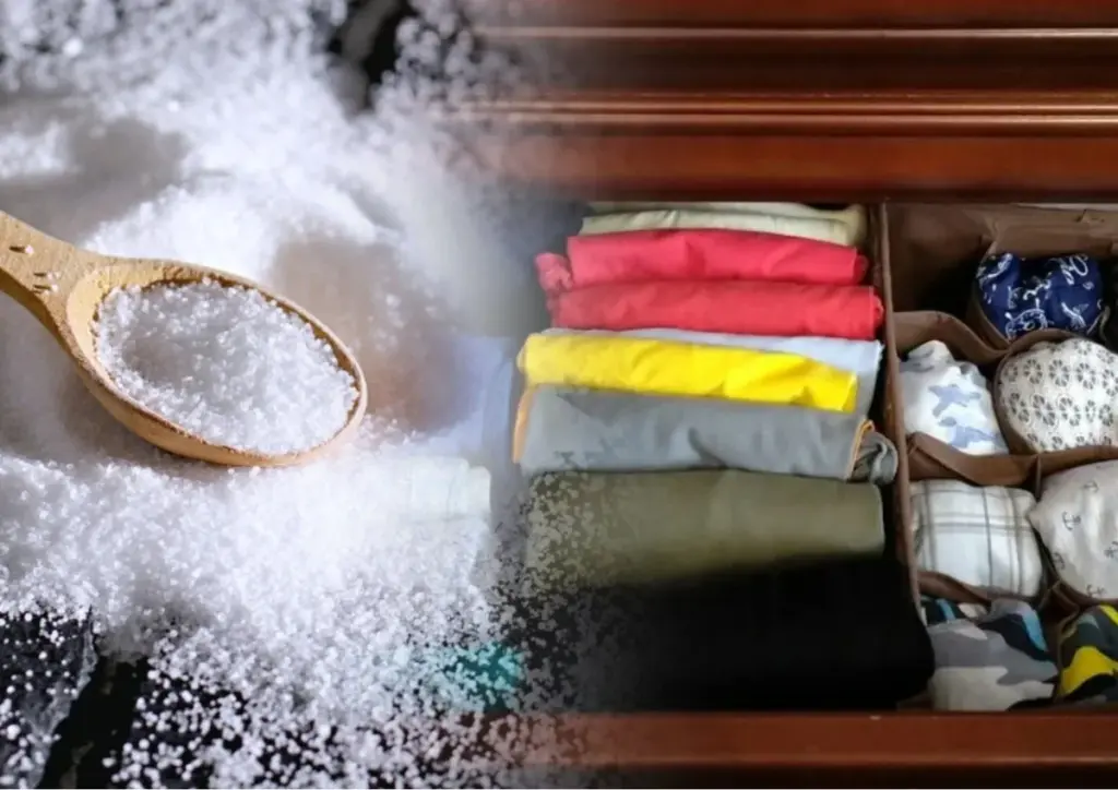 Frische Luft in Ihrer Garderobe: Mit diesem 2-Zutaten-Trick riecht Ihr Schrank wie neu