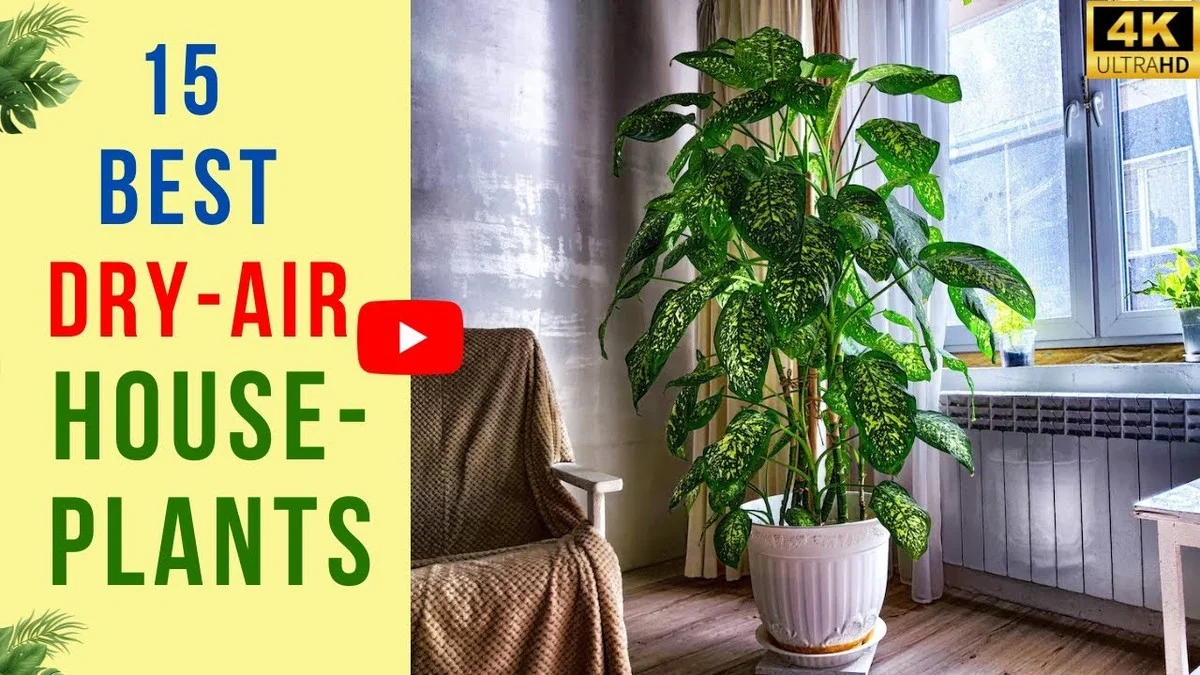 Ihr österreichisches Zuhause: Drei Fehler, die Ihre Zimmerpflanzen im Winter heimlich schädigen - image 2