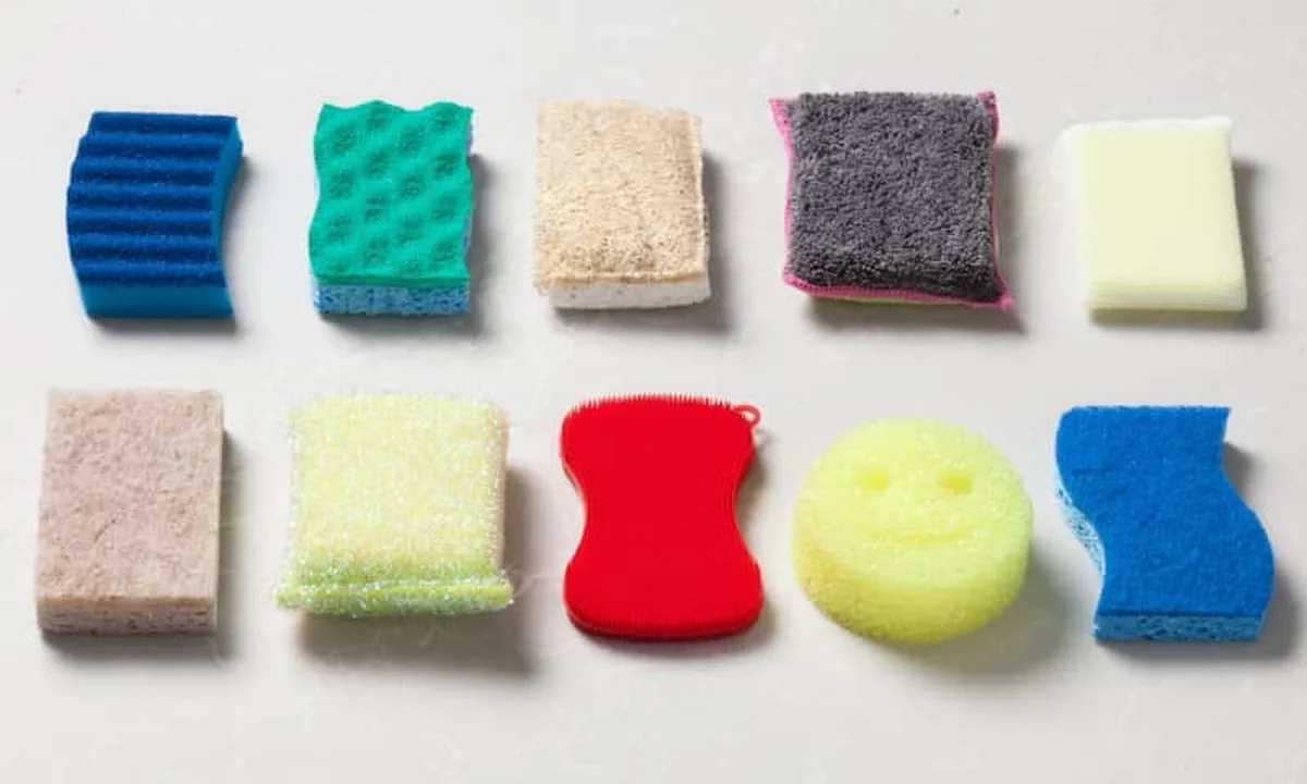 Küchenschwamm wechseln: So oft solltest du ihn WIRKLICH austauschen - image 1